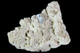 Aquamarine Crystal in Albite Crystal Matrix - Pakistan #111352-1